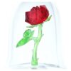 Den fortryllede rosen