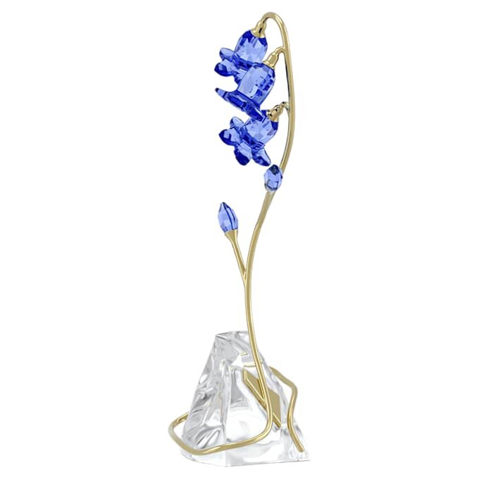 Florere blå klokkeblomst Florere blå klokkeblomst