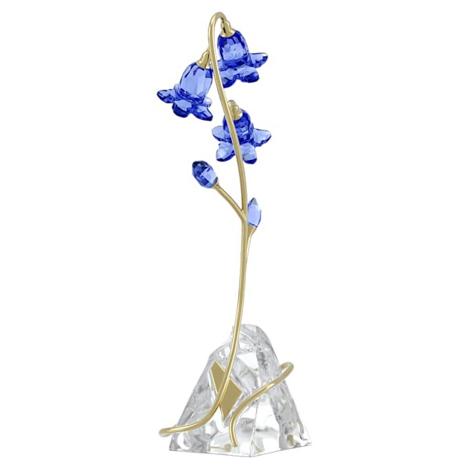 Florere blå klokkeblomst Florere blå klokkeblomst