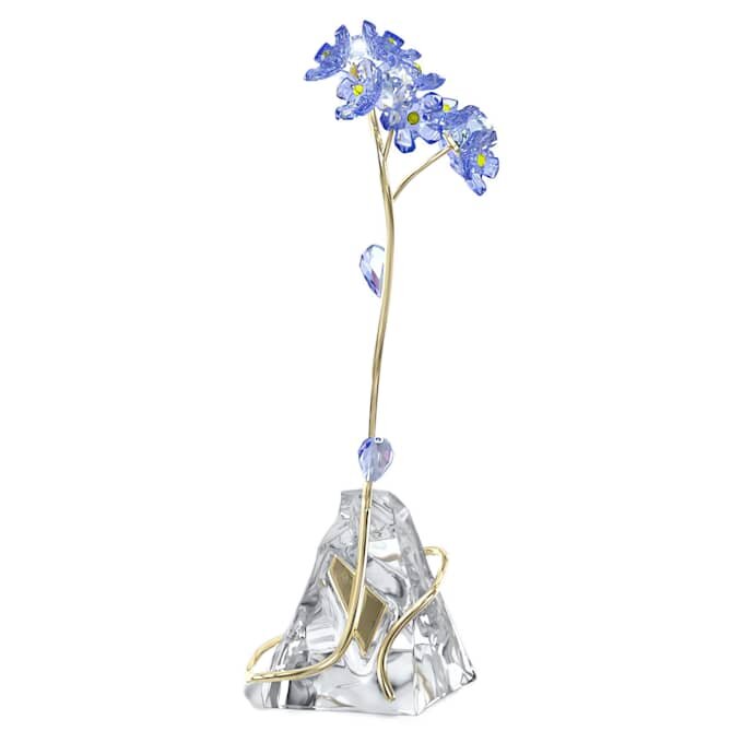 Florere Forget-Me-Not Florere Forget-Me-Not