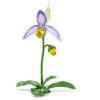 Florere Lady Slipper-orkide
