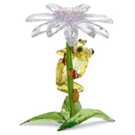 Idyllia Frosker og blomst