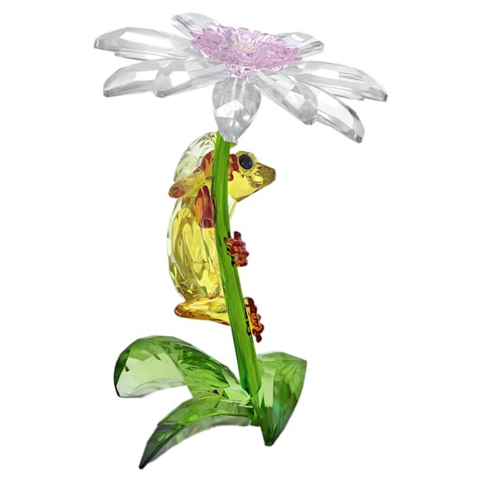 Idyllia Frosker og blomst Idyllia Frosker og blomst