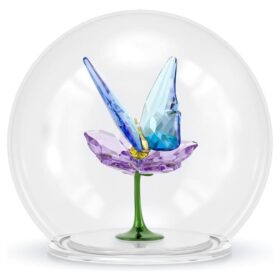 Idyllia glasskule med sommerfugl og blomst