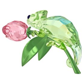 Idyllia Kameleon og Tulipan