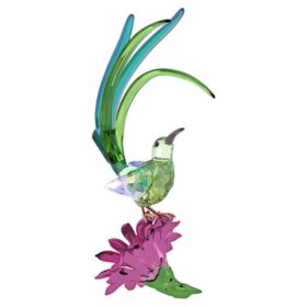 Idyllia sukkerfugl og kaktusblomst