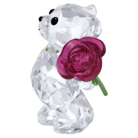 Kris Bear bærer en rose med kjærlighet