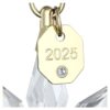 Årsutgave 3D-pynt 2025 Årsutgave 3D-pynt 2025